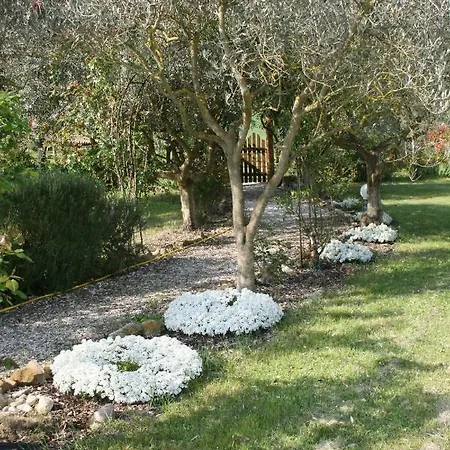 Casale Terrarossa Lejlighed Fratta Todina